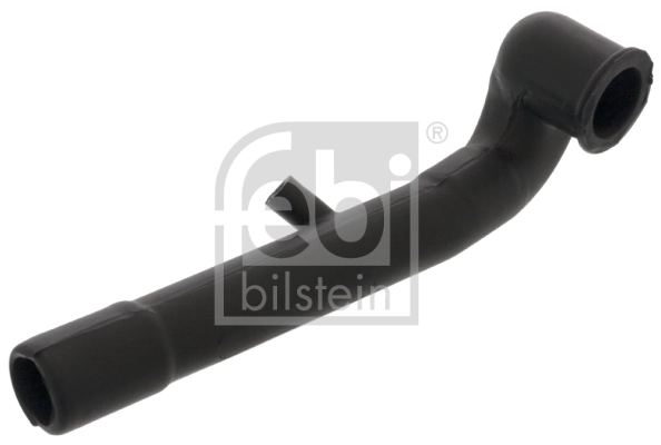 Hose, crankcase ventilation
